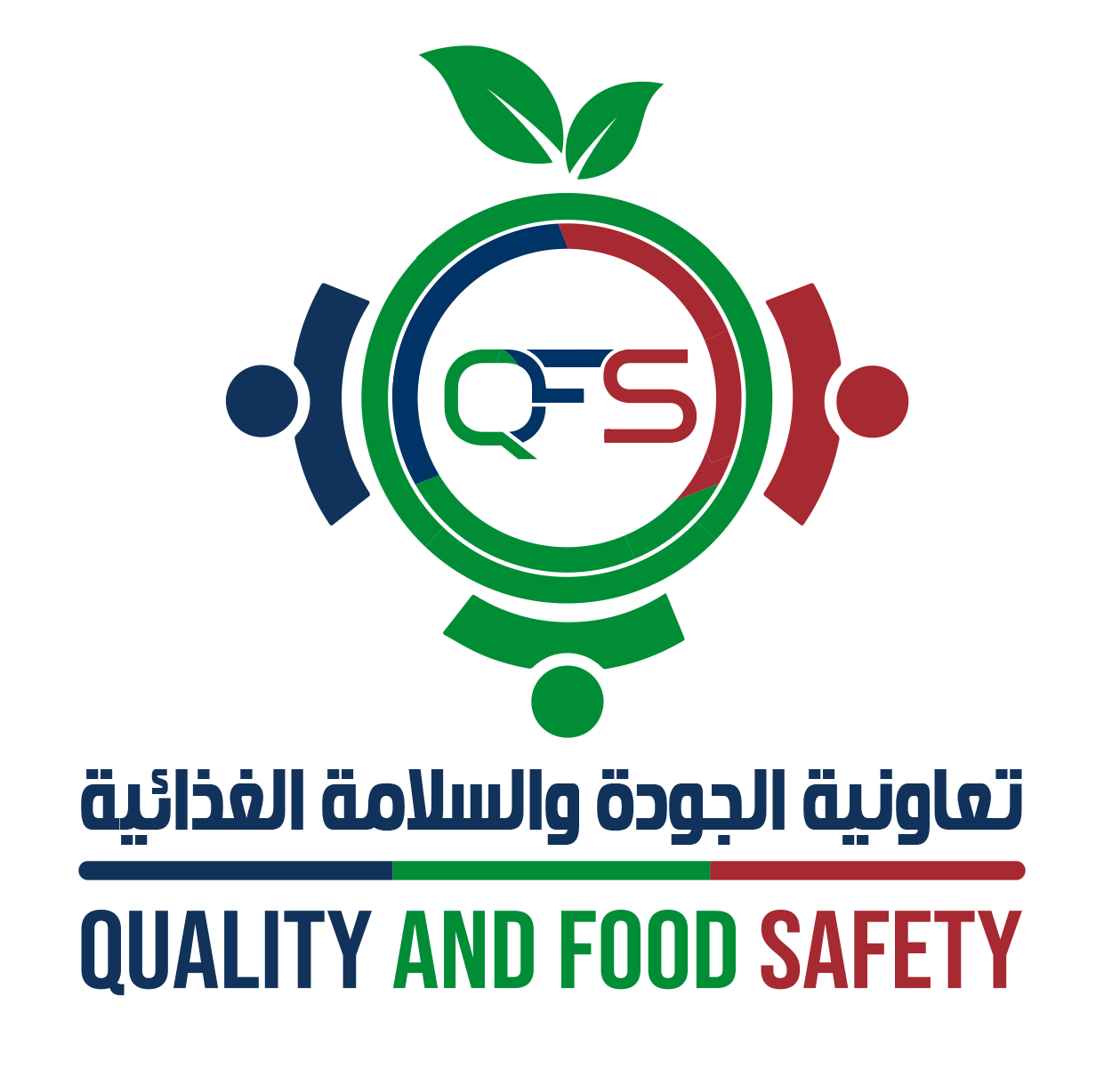 QFS Logo